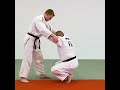 Yoko Tomoe Nage Positioning By Roland Vogt