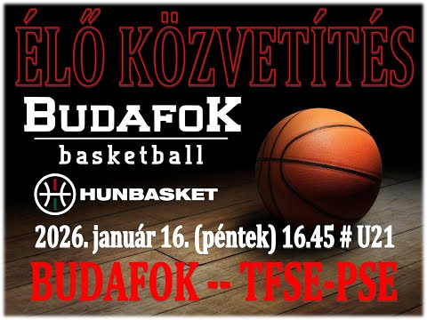 BUDAFOK – TFSE-PSE # U21-es mérkőzés