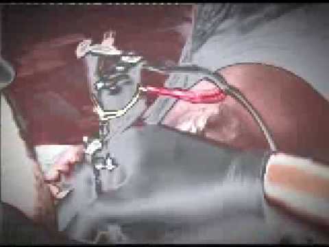 Dixit - Minha Senhora do Rosário (Video Oficial)