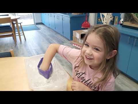 A Day in the Life of a Canterbury Cougar Cub