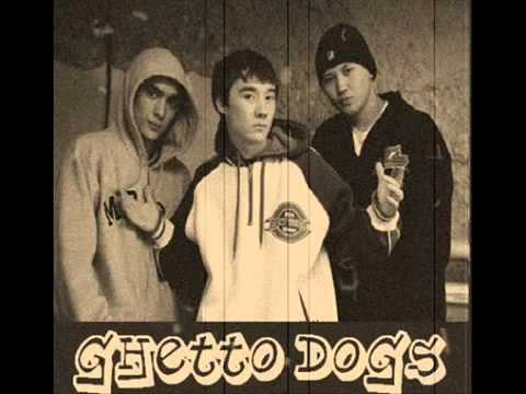 Ghetto dogs чайки