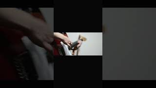 【#負け犬にアンコールはいらない】【#ヨルシカ】【#shorts】【#盗作】 プロフよりYouTube fullへ飛べます！  #ヨルシカ  #初音ミク #anime  #盗作再演  #キタニタツヤ