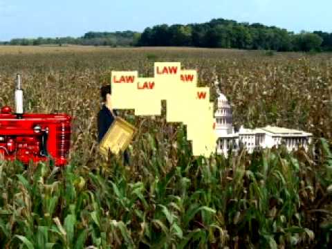 Facts of Congress - The House of Representatives