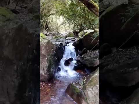 📌 Cascata dos Palmas - Estrela Velha RS #trilhando #trip