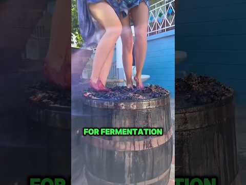 The process of making Georgian wine