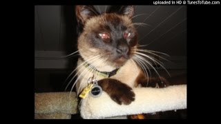 Royal Flush-Worldwide (instrumental)