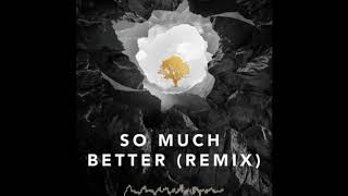 So much better (Avicii remix) Official audio