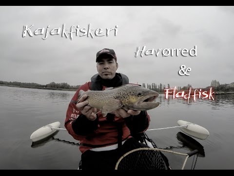 Kajakfiskeri efter Fladfisk og Havørred