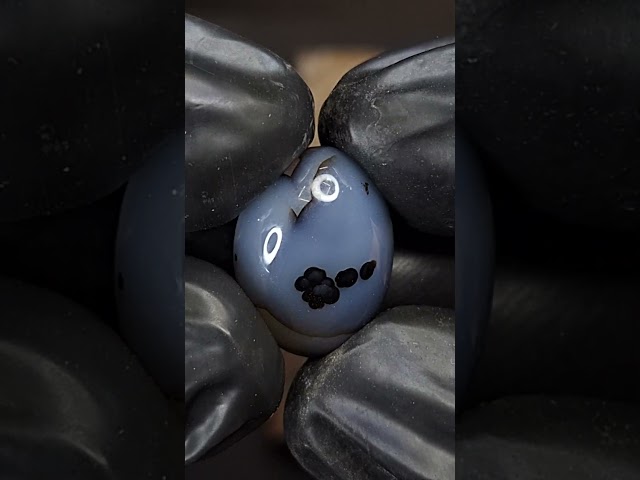 حجر عقيق مزهر طبيعي