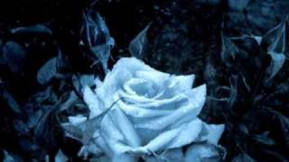 One Day You Will - Lady Antebellum w/lyrics