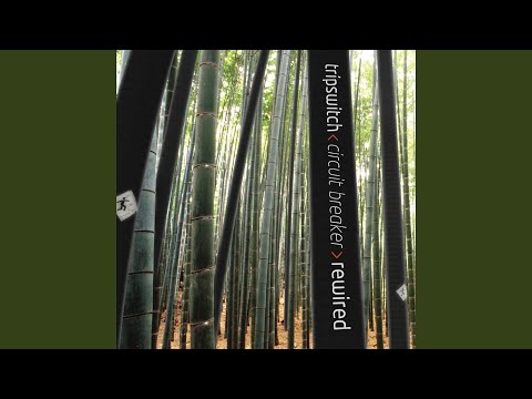 Silver (Shiloh's Futureprog Remix)