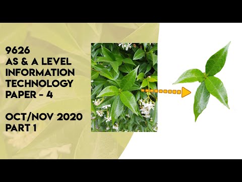 9626 NOVEMBER 2020 AS & A LEVEL IT PAPER 4