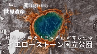 【世界遺産】イエローストーン国立公園｜世界初の国立公園が秘める地球の驚異｜世界遺産ガイド#002