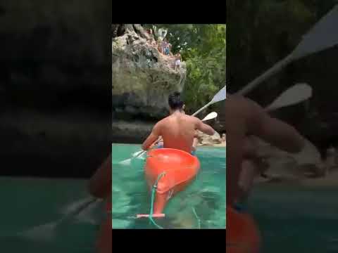 Pacifican Herbsman O-Shen Cover