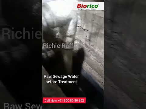 1Kg Biorico Sewage Water Treatment Chemical