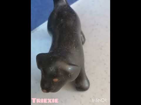 Unser Herbst Intro @ZoeLina171FamilieWessFamWaston 🇩🇪🇲🇽   🍁🍂🌰