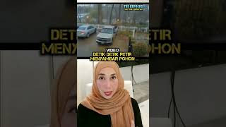 Download lagu Video Petir Menyambar Pohon 🤯🤯 mp3 Download lagu Video Petir Menyambar Pohon 🤯🤯 mp3