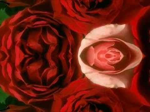 Elim e Ghaib seruf Allah janta hay 5 of 5