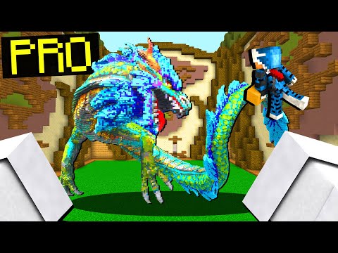 GIOCHIAMO ALLE BUILD BATTLE DEI PRO SU MINECRAFT ITA