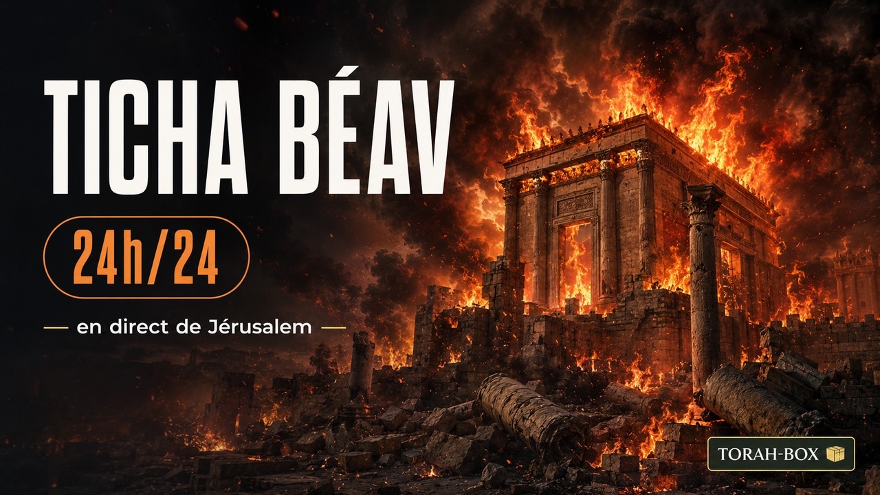 Jérusalem en Direct 🎥 Programme Ticha Béav H24