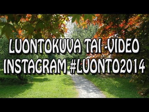 Peppu ylös penkistä ja ulos kuvaamaan!