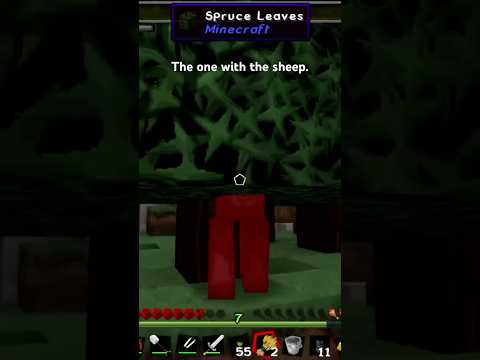 Crazy Sheep in Modded Minecraft!