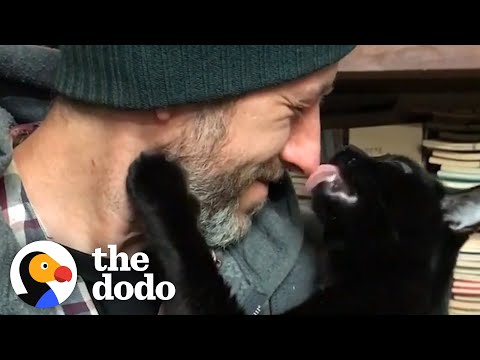 Guy Finds Stray Kitten And Bonds Hard With Him | The Dodo Soulmates