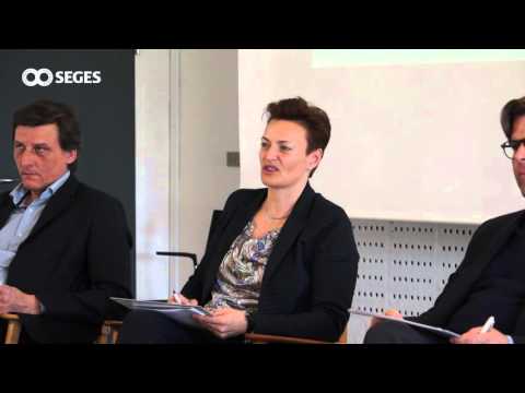 Løvens hule I - afgørelsen