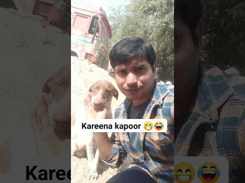 This dog name is kareena kapoor 😁😂 #shorts #dog #funny #youtubeshorts