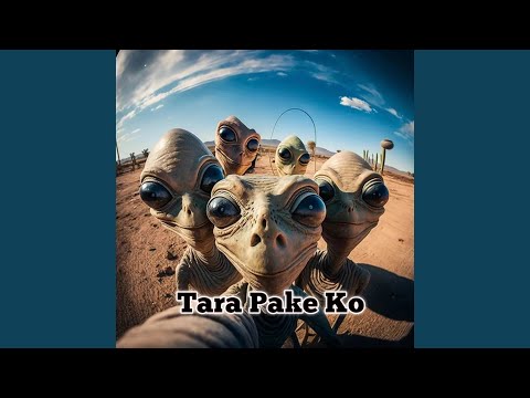 Tara Pake KO