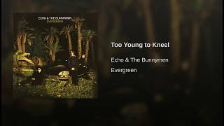 Too Young to Kneel