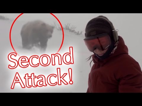 Snowboarder Girl Chased by Bear Update: Second Animal Attack Video!