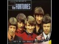 The Fortunes _ Storm in a Teacup (HQ widestereo ...