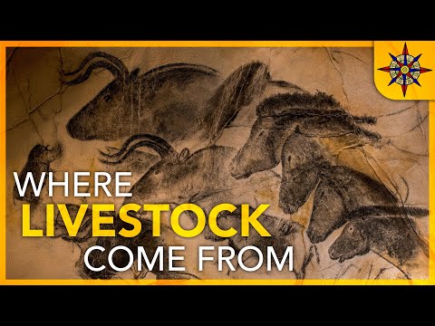 The Geography of Livestock
