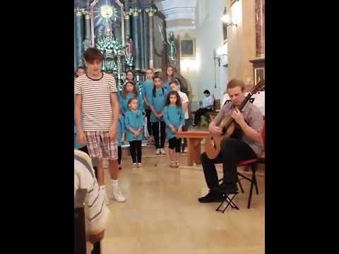 Bacila je sve niz rijeku-Dino Miklaužić