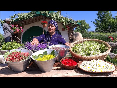 image-What are spring herbs?