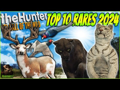 The Top 10 Most INSANE Rares & Super Rares Of 2024! Call of the wild