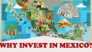 Why Invest in Mexico?