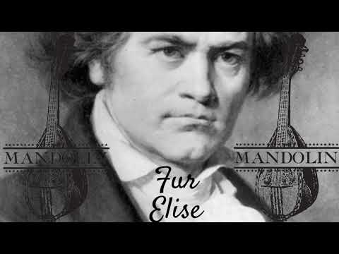 Beethoven Fur Elise mandolin cover