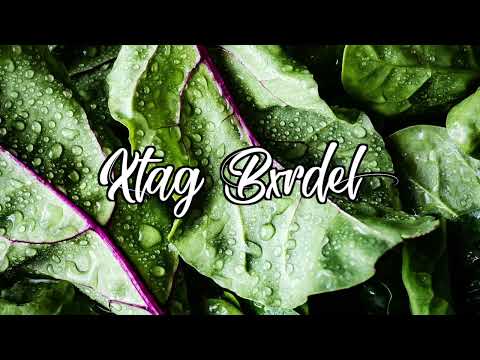 XTAG BXRDEL x FIREDOWN x 2023 (PSMKILLA)