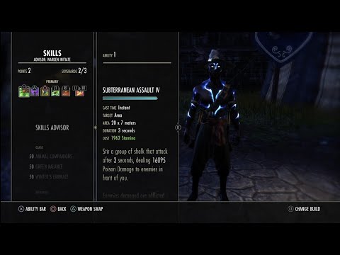 ESO NEW OVERPOWERED STAMINA WARDEN BUILD - DRAGONHOLD META [INSANE DAMAGE]