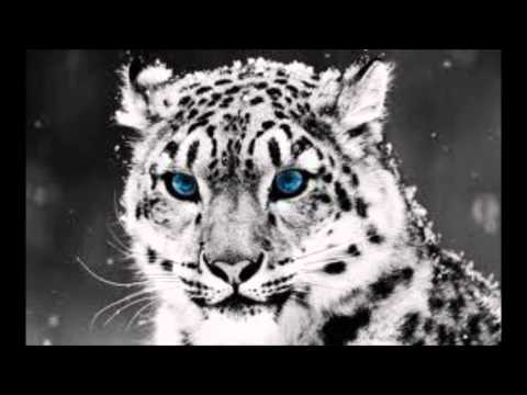 Lights Down Low Drake & Kreayshawn vs Bei Maejor, Waka Flocka Flame remix by dj otty