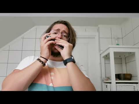 Red wing Harmonica in D Slide Diatonic