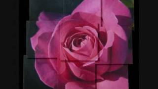 Rosa Rubens Egreditur.wmv