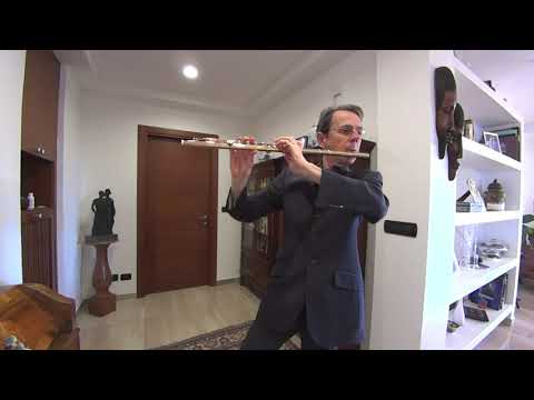 Giampaolo Pretto: The Quarantine Microconcerts - 9 - G. P. Telemann: Fantasia nr. 6 in d minor HD