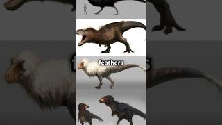 Did know you the T-Rex had feathers 🪶