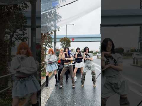 안 귀여워서 잡혀갈 뻔~ #NOT_CUTE_ANYMORE #ILLIT #아일릿