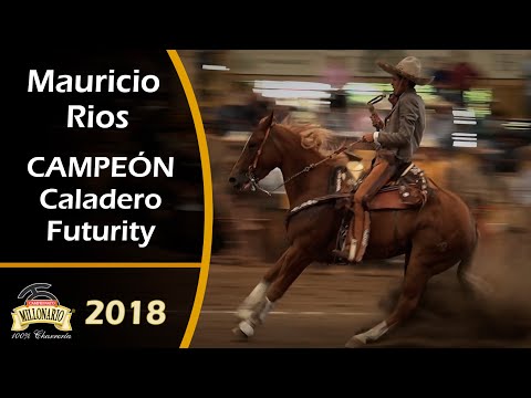 CAMPEON Caladero FUTURITY - Campeonato Millonario THV 2018