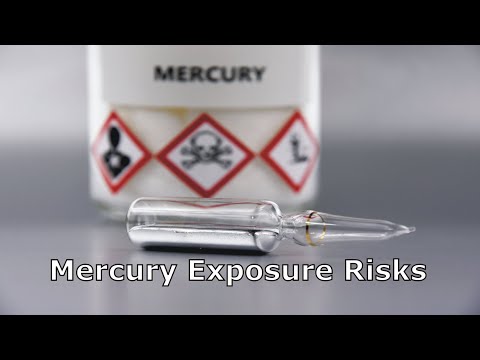 Mercury Exposure Risks