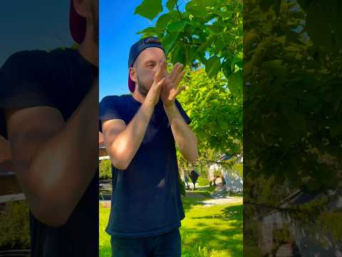 Can you whistle like that?😏 #whistling#goodtoknow#whistle#villagechild#citychild